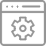 IT/SW