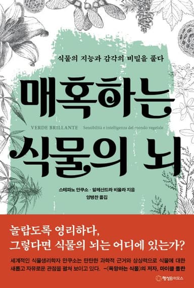 매혹하는 식물의 뇌 : 식물의 지능과 감각의 비밀을 풀다