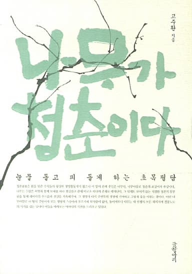나무가 청춘이다