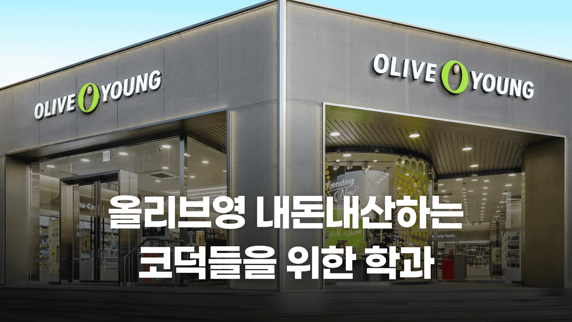 올리브영 내돈내산하는 코덕들을 위한 학과