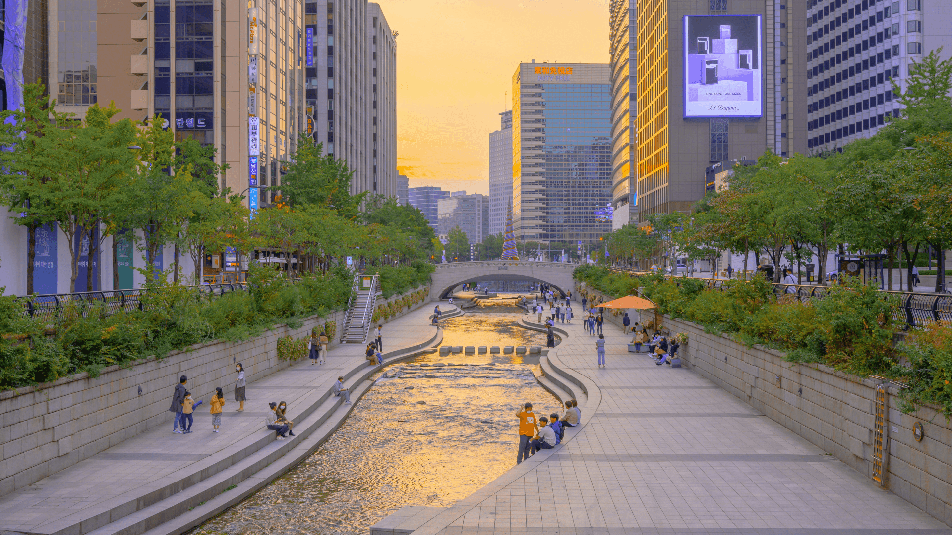 한국지리 선택과목 연계도서 추천|독서활동·탐구보고서에 좋은 책 6권 대표 이미지